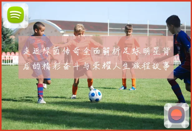 走近绿茵传奇全面解析足球明星背后的精彩奋斗与荣耀人生旅程故事
