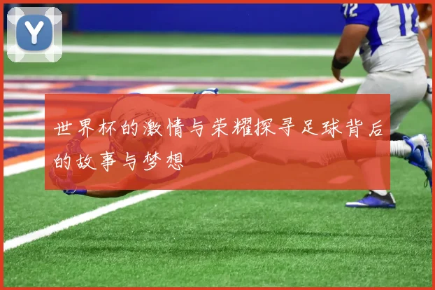 世界杯的激情与荣耀探寻足球背后的故事与梦想