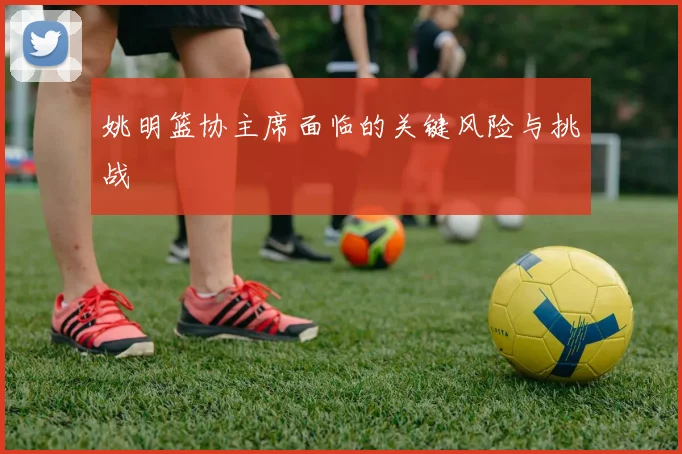 姚明篮协主席面临的关键风险与挑战