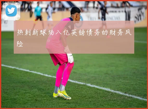 热刺新球场八亿英镑债务的财务风险