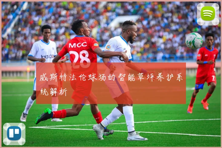 威斯特法伦球场的智能草坪养护系统解析