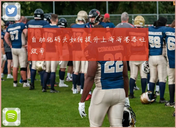 自动化码头如何提升上海海港吞吐效率