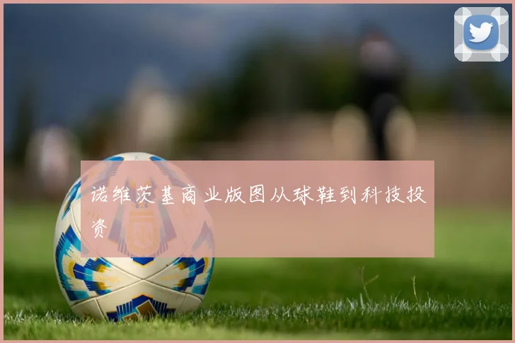 诺维茨基商业版图从球鞋到科技投资