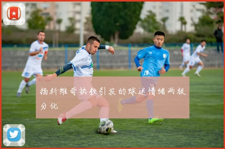 扬科维奇执教引发的球迷情绪两极分化